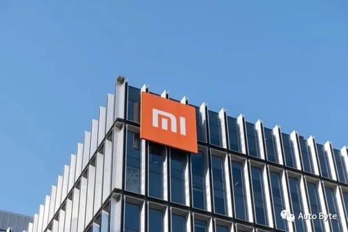 做年轻人的朋友 解构小米和 大米 的品牌年轻化成功之道