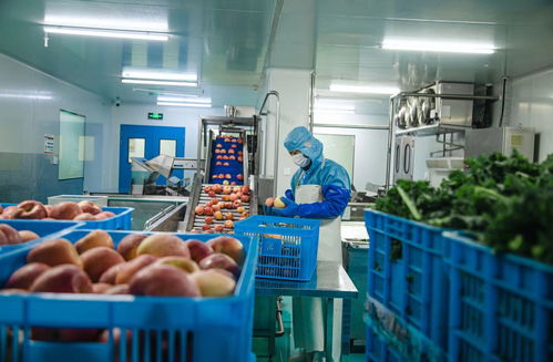 果蔬汁风潮来袭 盒马网红HPP果汁连出新品，书画院共鉴健康生活